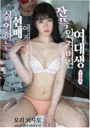 无翼鸟短篇集封面