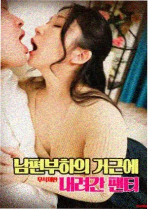 无翼鸟剧场版羽根封面